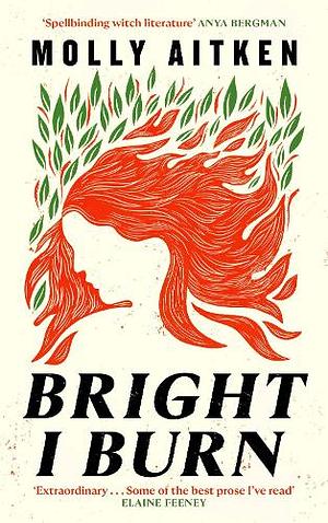 Bright I Burn by Molly Aitken