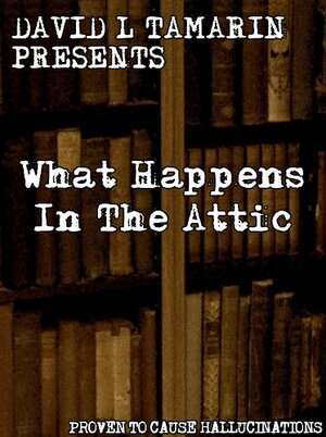 What Happens In The Attic by David L. Tamarin