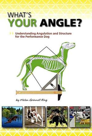 What's Your Angle? by Helen Grinnell King