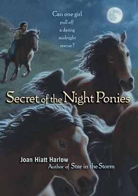Secret of the Night Ponies by Joan Hiatt Harlow