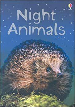 Night Animals: Level 1 by Susan Meredith