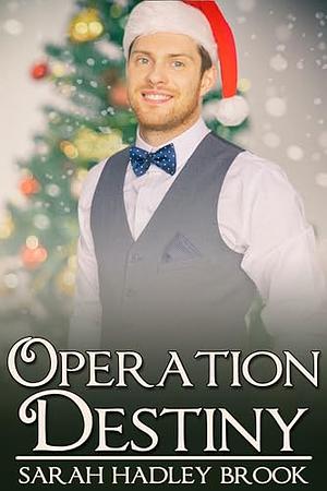 Operation Destiny by Sarah Hadley Brook