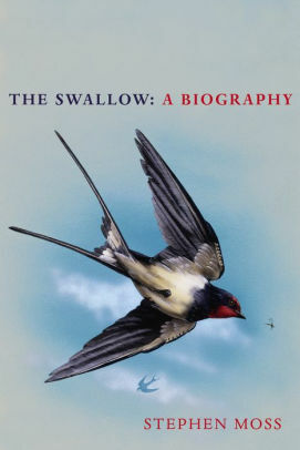 The Swallow: A Biography by Stephen Moss
