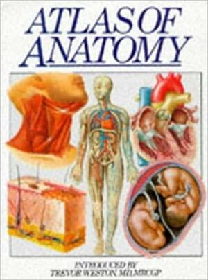 Atlas Of Anatomy by Casey Horton, Trevour Weston
