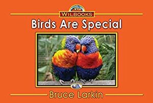 Birds Are Special by Bruce Larkin