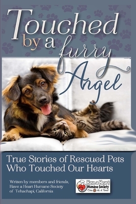 Touched By A Furry Angel by Chelley Kitzmiller