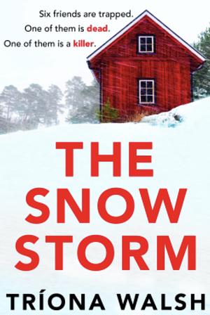 The Snowstorm  by Tríona Walsh