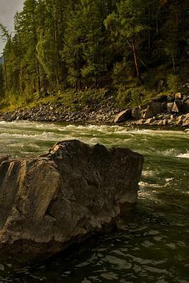 A Fast Creek: Rapids Are Characterized by the River Becoming Shallower with Some Rocks Exposed Above the Flow Surface. as Flowing Wa by Planners and Journals