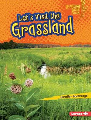 Let's Visit the Grassland by Jennifer Boothroyd