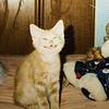 wintercoille's profile picture