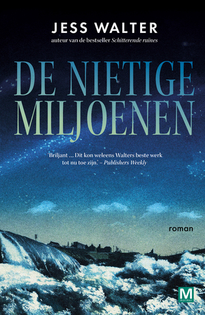 De nietige miljoenen by Jess Walter