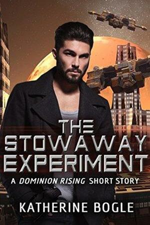 The Stowaway Experiment by Katherine Bogle