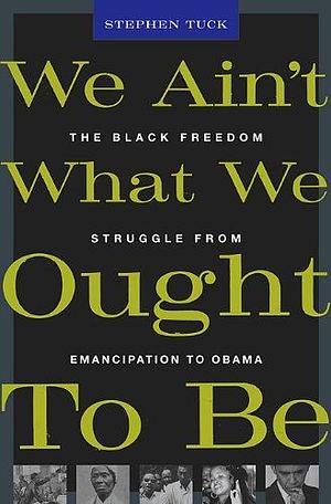 We Ain't What We Ought To Be: The Black Freedom Struggle from Emancipation to Obama by Stephen Tuck