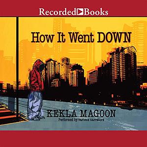 How It Went Down by Kekla Magoon