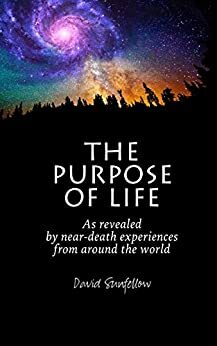The Purpose of Life as Revealed by Near-Death Experiences from Around the World by David Sunfellow