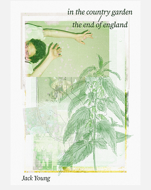 in the country garden / the end of england by Jack Young