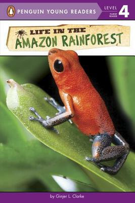 Life in the Amazon Rainforest by Ginjer L. Clarke