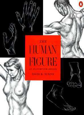 The Human Figure: An Anatomy for Artists by David K. Rubins