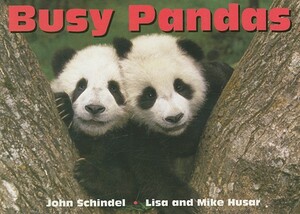 Busy Pandas by John Schindel