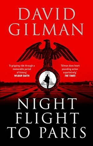 Night Flight to Paris by David Gilman