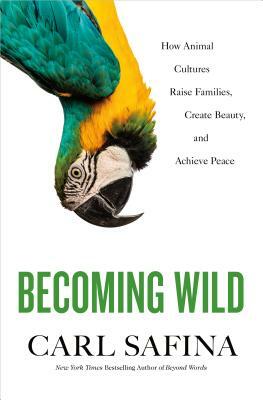 Becoming Wild: How Animal Cultures Raise Families, Create Beauty, and Achieve Peace by Carl Safina