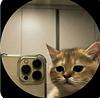 thepennyyouleftbehind's profile picture