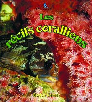 Les R'Cifs Coralliens by Bobbie Kalman, Kelley MacAulay