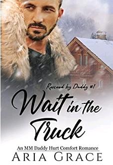 Wait in the Truck  by Aria Grace