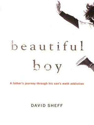 Beautiful Boy: A Father's Journey through His Son's Meth Addiction by Anthony Heald, David Sheff