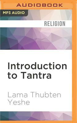 Introduction to Tantra: A Vision of Totality by Thubten Yeshe