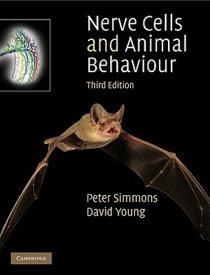 Nerve Cells and Animal Behaviour by David Young, Peter Simmons
