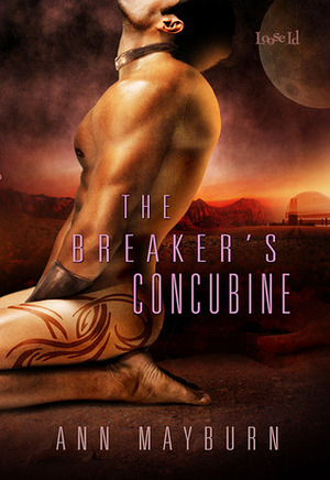 The Breaker's Concubine by Ann Mayburn
