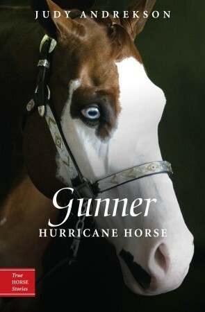 Gunner: Hurricane Horse by Judy Andrekson, David Parkins