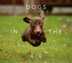 Dogs in the Air by Jack Bradley