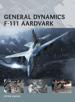 General Dynamics F-111 Aardvark by Peter E. Davies