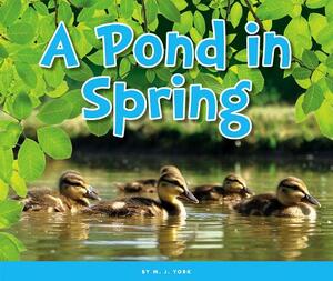 A Pond in Spring by M. J. York