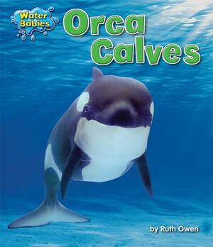 Orca Calves by Ruth Owen