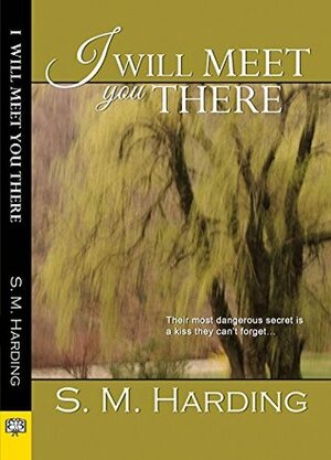I Will Meet You There by S.M. Harding