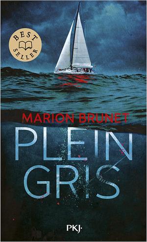 Plein Gris by Marion Brunet