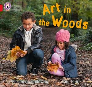 Art in the Woods by Tim Platt, Elizabeth Galloway