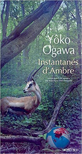 Instantanés d'Ambre by Yōko Ogawa