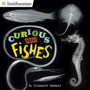 Curious about Fishes by Elizabeth Bennett
