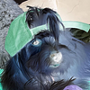 mo333333's profile picture