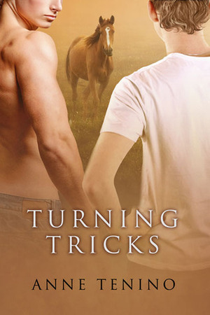 Turning Tricks by Anne Tenino