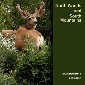 North Woods and South Mountains by Bruce Merchant, Dee Klocow