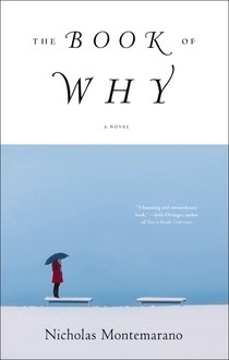 The Book of Why by Nicholas Montemarano