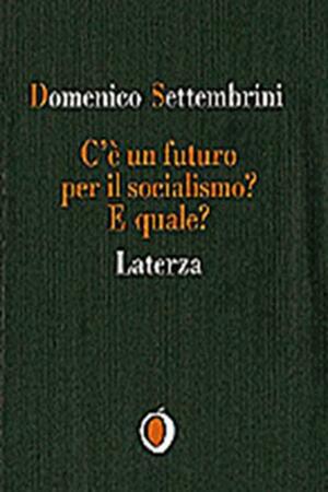 C'è un futuro per il socialismo? E quale? by Domenico Settembrini