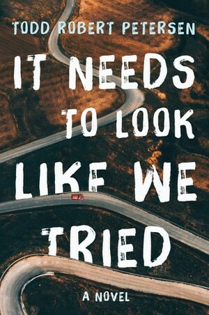 It Needs to Look Like We Tried by Todd Robert Petersen