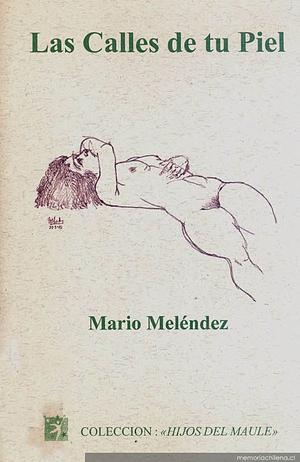 Las calles de tu piel by Mario Meléndez