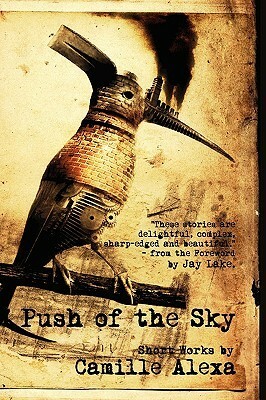 Push of the Sky by Camille Alexa
